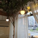barimcake 네이버블로그