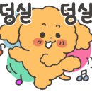 막둥이애견 이미지