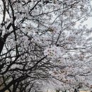 거기농장 이미지