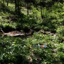 응봉산농장 이미지