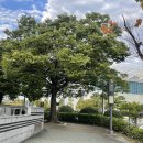 부산사회체육센터 이미지