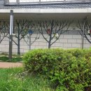 수원팔색길 모수길 이미지