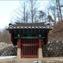 일곱손가락 Daum카페