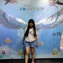 coEx AquaRIUM 이미지