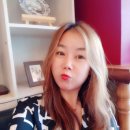 노라보까 Daum카페