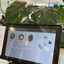 드 메르 | 부산 기장 오션뷰 브런치 카페 드메르 내돈내산 후기