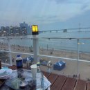 원더러스트커피 광안비치점 | 광안리놀거리추천! 광안비치파크에서 여유로운 피크닉 즐기기