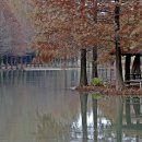 담양에코센터 이미지