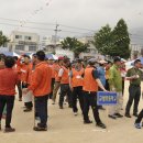 산호초등학교 이미지