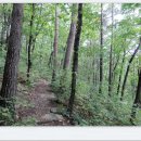 오투(O2) 이미지