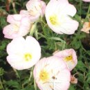 혜민농장 이미지