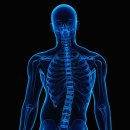 별내정형외과의원 | 갈매동정형외과 척추측만증 비수술 치료 효과와 주의사항