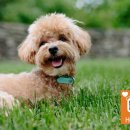 자연속힐링펜션 이미지