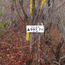 덕풍산장 이미지