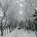 두레캠핑장 이미지