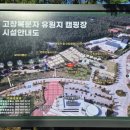 D1 | 전북 고창 보다더 캠핑장 D1 사이트 후기