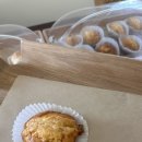 맹종죽테마파크1 | 거제맹종죽테마파크 근처 카페 조용한 거제도 오션뷰 대형카페