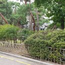 강감찬 생가 터 이미지