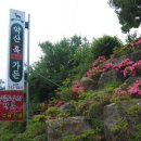 약산염소전골