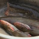 한탄강매운탕 이미지