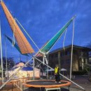 통복천 | 24.03.31 평택대 벚꽃축제 푸드트럭 / 통복천 벚꽃 현황 비교