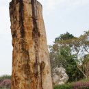 동상농장 이미지