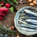 시크릿푸드 이미지