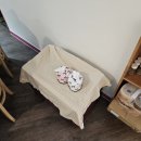 엘에이 돈가스 이미지