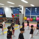 경민대 삼현충효태권도장 이미지