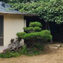 지극히 개인적인 별장 이미지