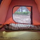 파인(143) 이미지