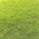 금호타이어밀양대리점 | 벌초대행 (주)누리임업.밀양 의뢰 후기