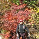 감악산산촌마을 이미지