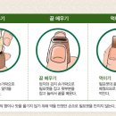 아포동물약국 이미지