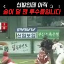 선발이 전날 술마시고 7이닝1실점 인생투하면 어떨거같아 이미지