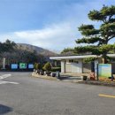 노루생태관찰원 이미지