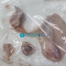 대치동물메디컬센터 이미지