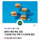 아쿠아데이 이미지