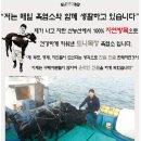 친환경 염소농장 이미지