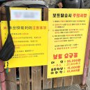 검멀레 | [옴니버스]제주도 여행 우도 2편 - 비양도 검멀레해수욕장 보트 내돈내산 후기