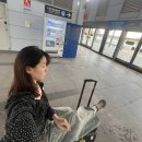 여주-0073 | 30만원으로 일본 다녀오기!(안보면진짜손해인김으히의혼자일본여행기록🛫)