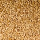 열려라 참깨 이미지