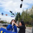 건양대네거리 네이버블로그