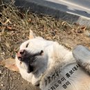 자동차도우미정비공장 이미지