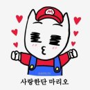 오늘하루 이미지