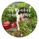 행복한농어촌체험마을 | 창원 다감농원/빗돌배기마을에서 감자캐기&amp;모내기 체험 하고 왔어요(솔직 후기)