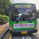 대전운수 73번 3603호 그린시티 유로6 CNG 2015년식 이미지