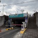 중앙4길 | 강릉 중앙시장 - "주룩주룩 양조장 쇼룸" 방문 및 후기