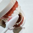 튼튼내이사랑치과의원 이미지