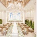 목화(아) 이미지